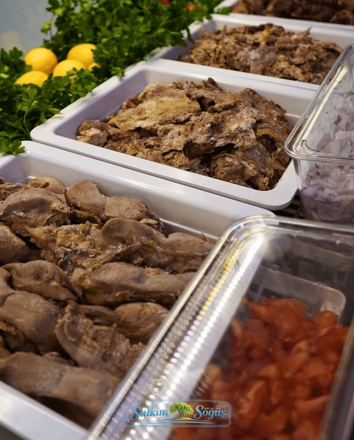 Salkım Söğüş Mekan