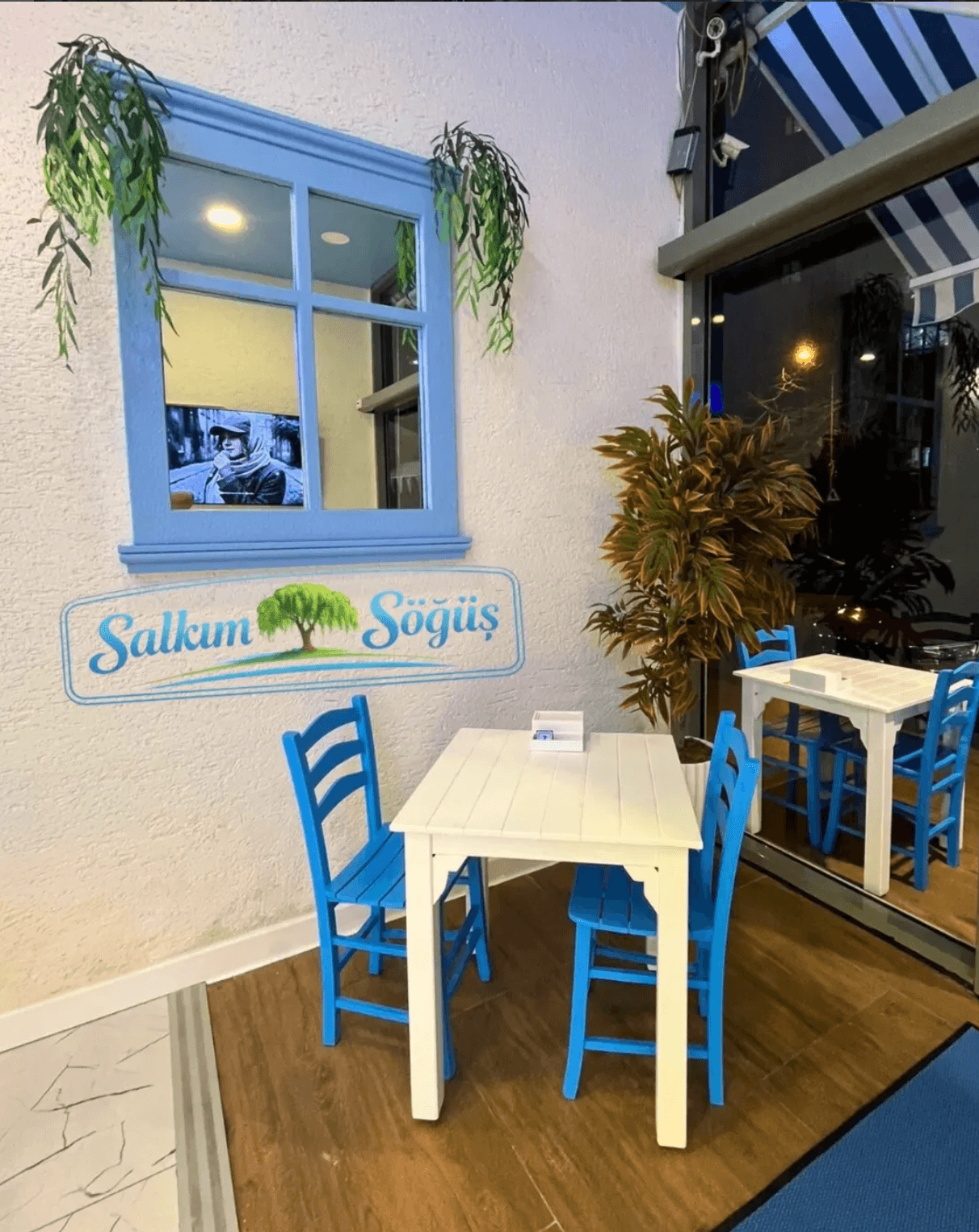 Salkım Söğüş Mekan